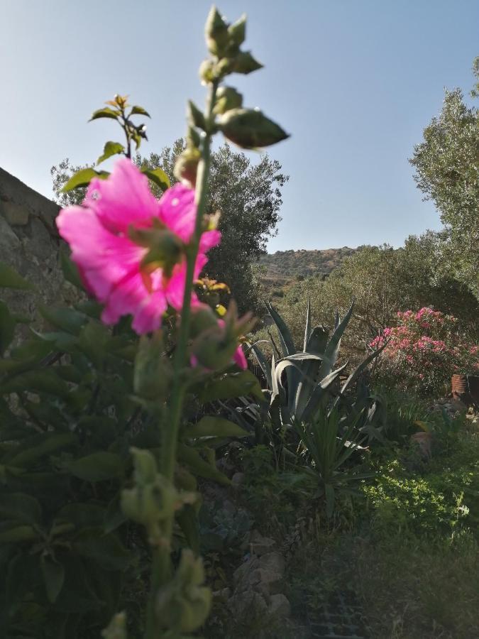 Arcadia Eressos Hotel Buitenkant foto